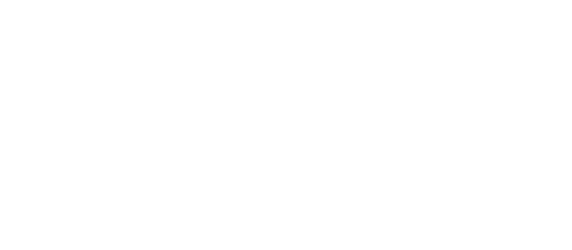 BESTPLAN 40