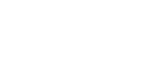 BESTPLAN 40