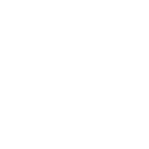 100years LEGACY